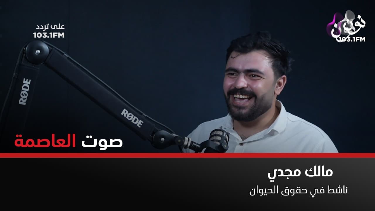 عن تجربة .. القطط تسحب الطاقة السلبية | مالك مجدي في صوت العاصمة