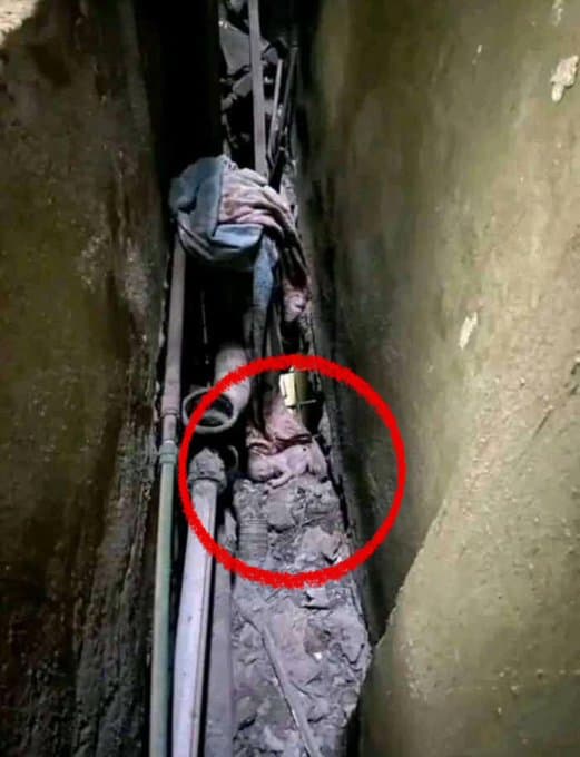 صورة 1