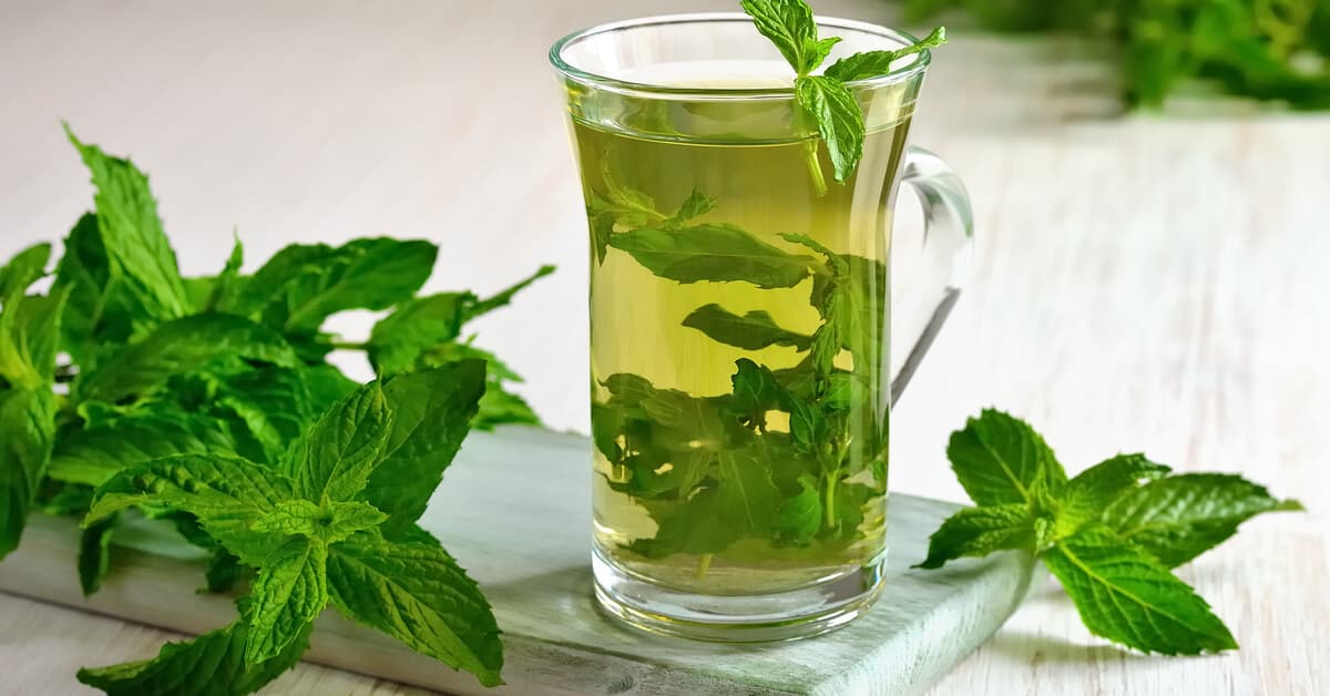 فوائد النعناع أثناء الدورة الشهرية