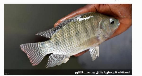 أمريكية تفقد أطرافها بعد وجبة سمك!