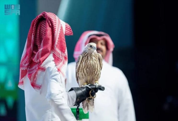بمبلغ غير مسبوق.. بيع أغلى صقر في الشرق الأوسط