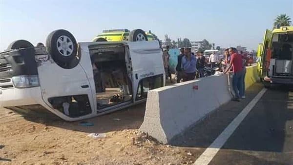 مصر.. حمار يتسبب في إصابة 15 عاملاً