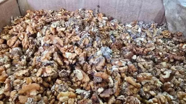 تركيا.. ضبط أطنان من الجوز الفاسد بمحل حلويات شهير