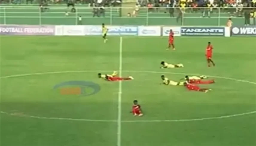 سرب نحل يقتحم ملعب كرة قدم ويعطّل المباراة | فيديو