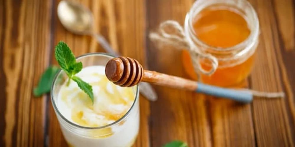 تأثير العسل والزبادي على المعدة.. اكتشف السر