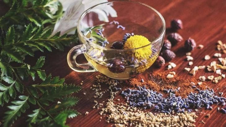 لتقوية الذاكرة ومحاربة النسيان.. 10 أعشاب طبيعية تعزز قوة الدماغ