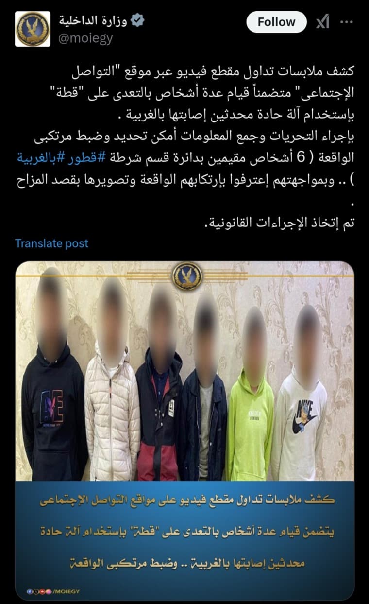 صورة 1