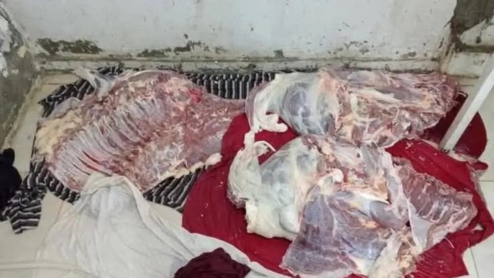 مصر.. يبيعان لحم الخيول على أنه ضأن