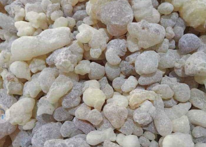 فوائد لبان الذكر للوجه.. لماذا يعتبر سر الجمال الطبيعي لبشرتك؟