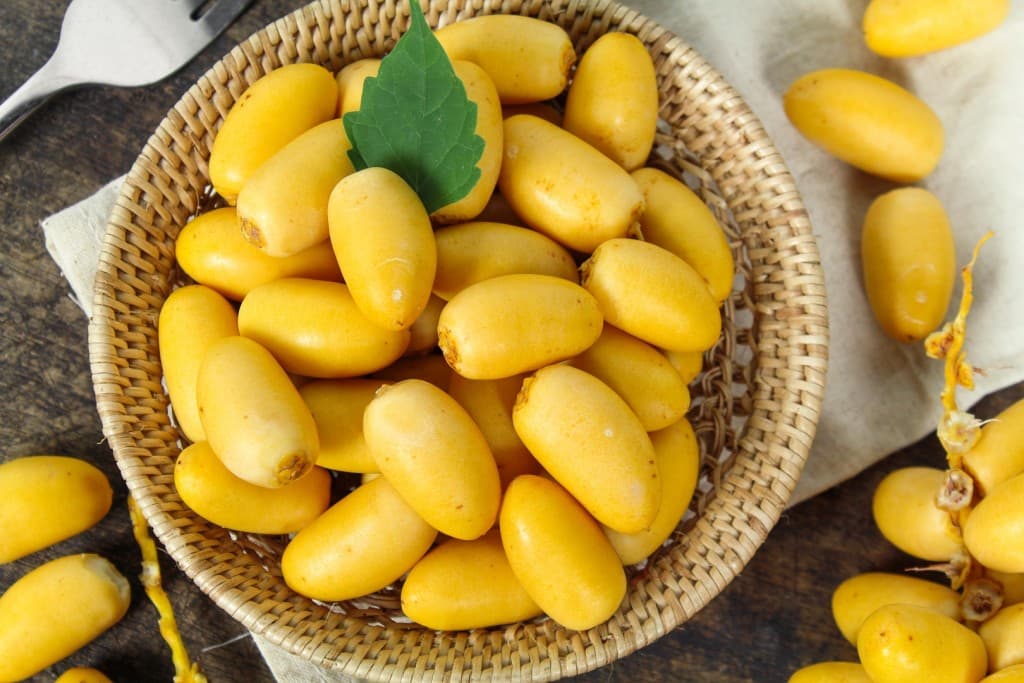 فوائد الرطب للنساء لا مثيل لها خصوصاً للرياضيات