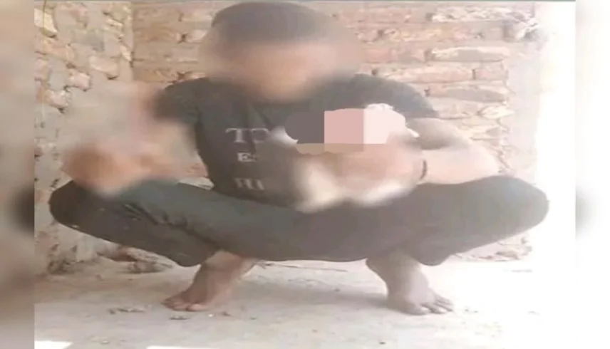 مصر.. شاب يذبح قطة في بث مباشر