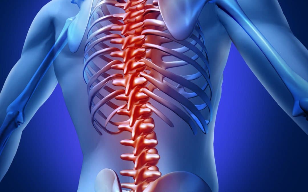 علماء روس يطورون طريقة لعلاج إصابات النخاع الشوكي